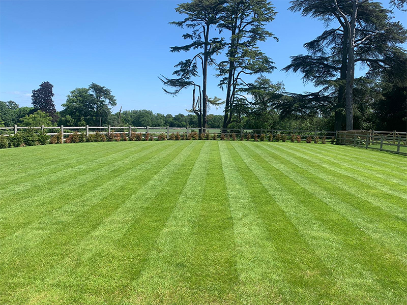 Freshly cut lawn